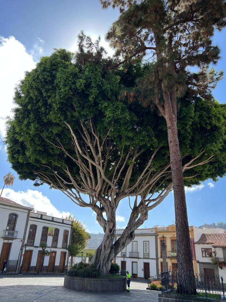 Casa En Teror Centrica Turismo De Ciudad Y Bosques Leilighet Eksteriør bilde
